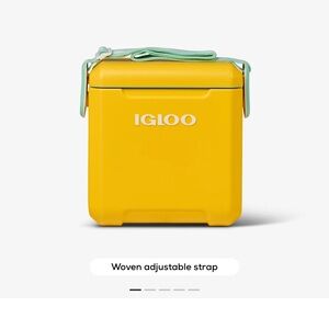 IGLOO Retro Mini Cooler